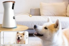 Furbo 能投放零食与宠物狗互动的智能摄像头