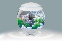 碧欧宝 biOrb 创意桌面生态水族箱