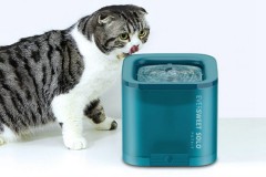 小佩 PETKIT SOLO 宠物猫饮水机