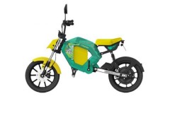 摩兽 TROMOX Pesgo One 荷塘锦鲤电动自行车