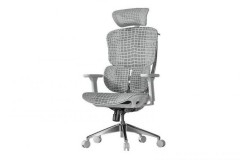 有谱 Ergoup 慧眼 A1 人体工学椅