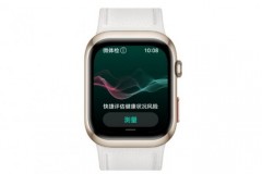 华为 HuaWei WATCH D2 血压监测智能手表