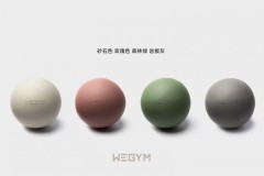 WeGym 瑜伽球