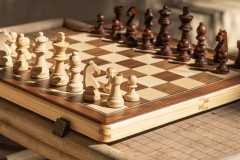 AA领御磁性国际象棋