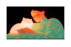 海信 Vidda 贴贴壁纸电视