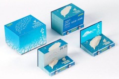 纸志 paperwill 宝岛台湾手撕日历