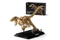 Nifeliz 迅猛龙化石拼插模型