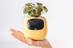 岸杉 PLANTSIO IVY 智能花盆