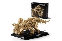 耐菲 Nifeliz Triceratops 三角龙化石拼插模型