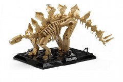 耐菲 Nifeliz Stegosaurus 剑龙骨骼化石模型