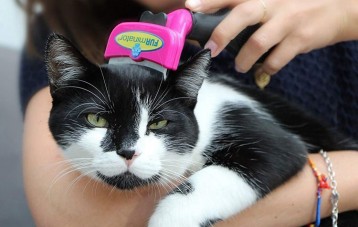 富美内特 FURminator 猫毛狗毛清理器