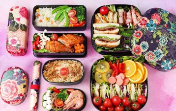 Tatsumiya HAKOYA 微波炉饭盒