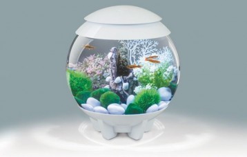 碧欧宝 biOrb 创意桌面生态水族箱