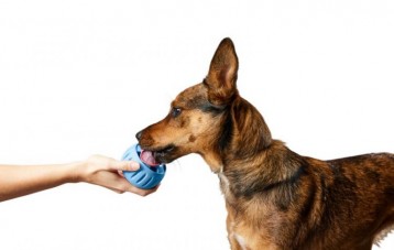 Woof Pupsicle 漏食球