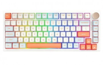 游戏动力 VGN N75 客制化机械键盘