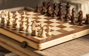 AA领御磁性国际象棋