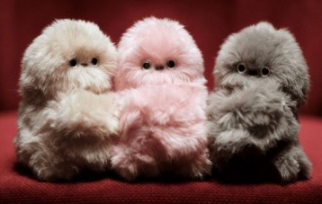 Mirumi 智能宠物陪伴玩具