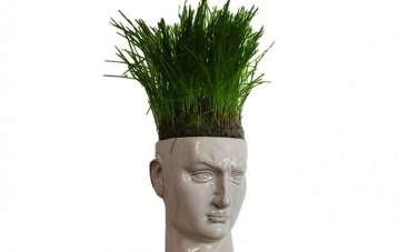 有独 Udoland x 超级植物联名大卫花盆