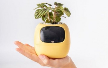 岸杉 PLANTSIO IVY 智能花盆