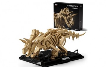 耐菲 Nifeliz Triceratops 三角龙化石拼插模型