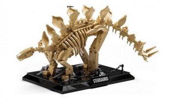 耐菲 Nifeliz Stegosaurus 剑龙骨骼化石模型