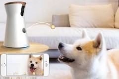能投放零食与宠物狗互动的智能摄像头Furbo